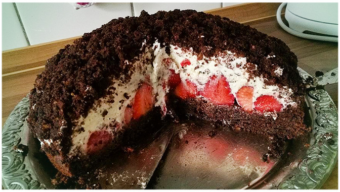 Maulwurfkuchen mit Erdbeeren