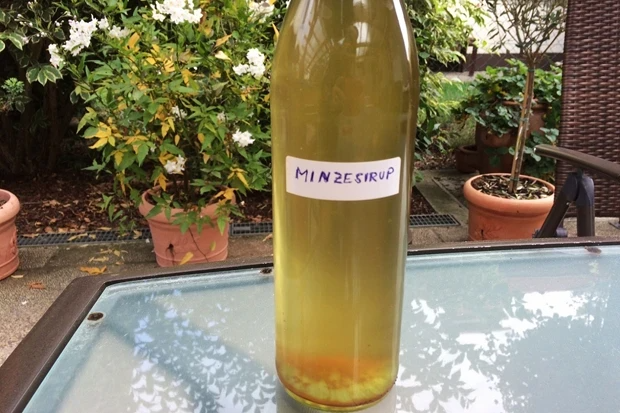 MINZESIRUP MINZESIRUP
